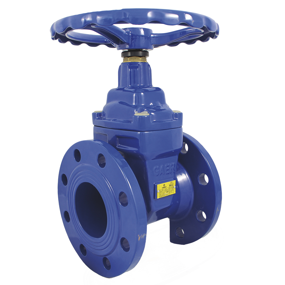 VALVULA COMPUERTA C/FLANGE 3**