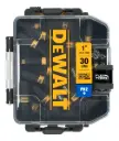 SET PUNTA PHILLIPS 30 PZS DEWALT (DWAF1PH2IR30)